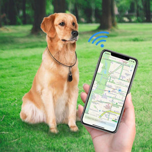 Honden GPS Tracker - Raak nooit je hond kwijt!